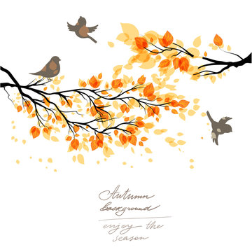 Autumn branch and birds