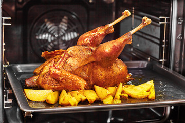 Fototapeta premium Delicious baked chicken in oven close-up