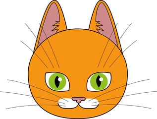Kitty cat