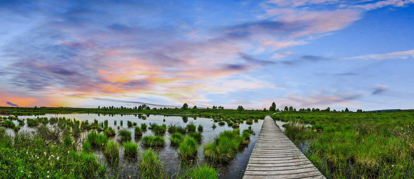 Wundersch&ouml;ner Holz Bohlen Weg f&uuml;hrt durchs Hohe Venn - Eifel in Belgien (Hautes fagnes)