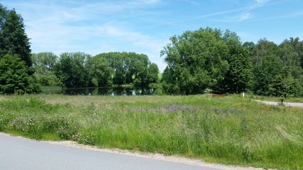 Fototapeta na wymiar Wild romantische - Naturlandschaft mit Sommerwiese und Teich