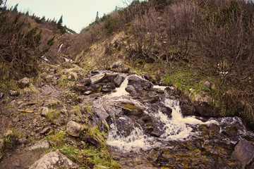 Fototapeta na wymiar Mountain stream flowing into a stony brook