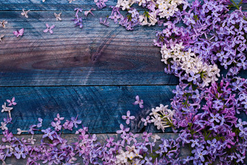 Lilac flowers decorative frame