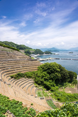 遊子水荷浦の段畑（愛媛県宇和島市）