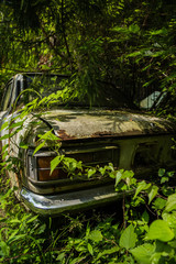 廃車（草むらに埋もれる廃棄自動車）