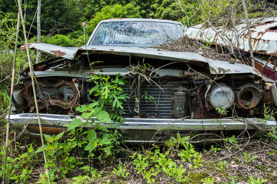 廃車（草むらに埋もれる廃棄自動車）