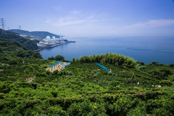 伊方原子力発電所（愛媛県伊方町）と瀬戸内海 © Yoshinori Okada