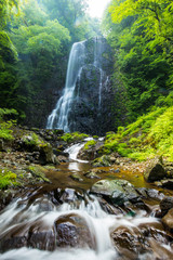 Fototapeta premium 滝と新緑（愛媛県白猪の滝）