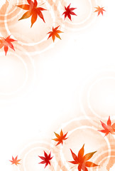 紅葉　秋　風景　背景
