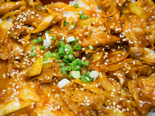 pork teriyaki top of rice bowl