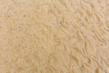 Sand background with barely visible waves.