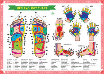 oot and Hand reflexology chart with accurate description of the corresponding internal and body parts. Vector illustration over white background, isolated.