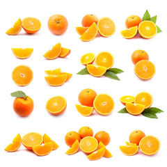 slice oranges collection