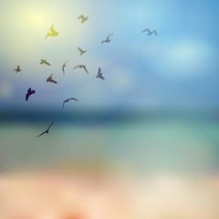  birds silhouette on sunny sky and beach background. Vector