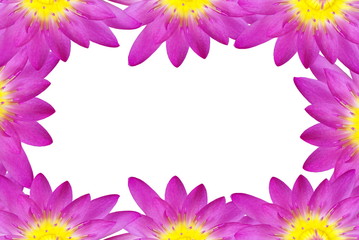 beautiful purple lotus flower isolated frame border on a white background