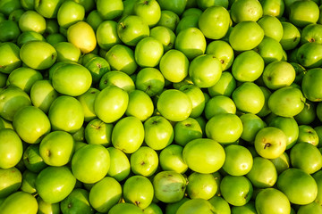Jujube, Indian jujube, Chinese date, monkey apple, green balls p