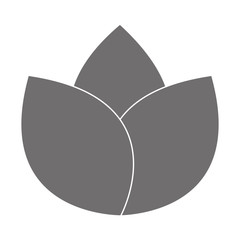 grey flower icon