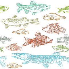 River and lake fish.seamless pattern. Sketch pike,Chub, perch and head. The fishes ink and pen. Illustration stock vector.