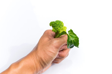 Naklejka na ściany i meble Vegetables raw food : hand holding Fresh broccoli sliced isolated on white background & space for your copy text. 