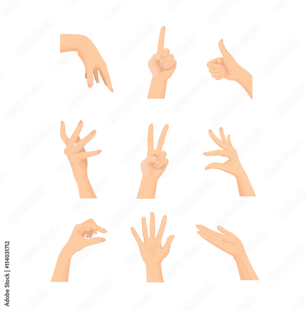 Wall mural vector set of mix beautiful woman's hand action isolated on white background