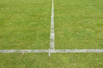 Obraz premium Stripes of the soccer field