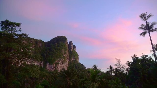 limestone mountain in Krabi, Thailand at dusk, purple sunset with palm tree