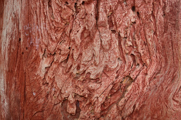 Fototapeta premium Wood Texture Background