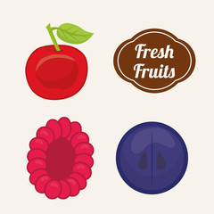 Fruits design. illuistration