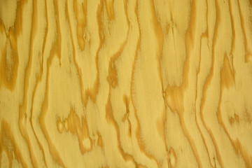 Wood texture background old panels