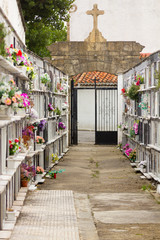 Fototapeta na wymiar Niches with flowers in a cemetery