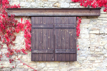 wooden shutters on stone wall background with autumn leaves