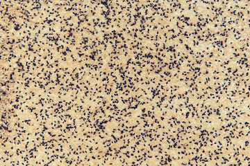 sesame seeds texture