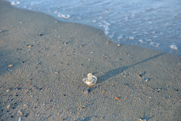 Nipple of a small child lost on the wet sand of a beach, waves b
