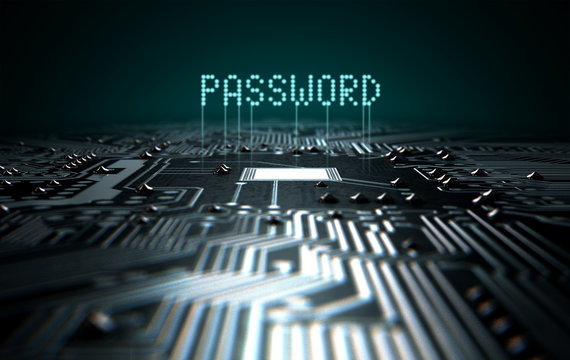Circuit Board Projecting Password