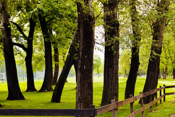 fence from wooden planks