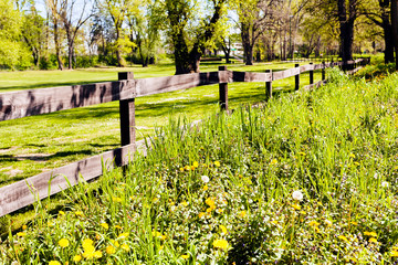 Fototapeta premium fence of wooden planks
