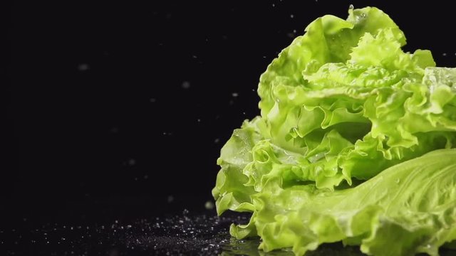 SLOW MOTION: Splash - A lettuce bunch falls on a black table