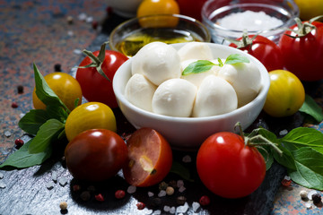 mozzarella, fresh vegetables and spices, closeup