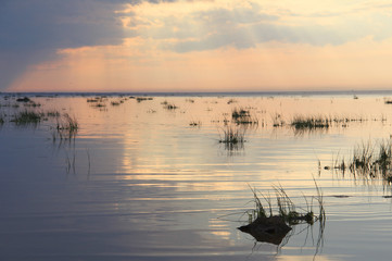 Sea shore during sunset