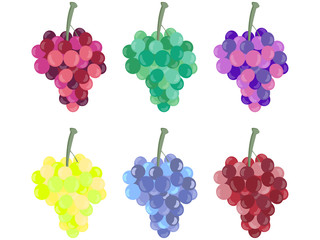 Grape bunches of different colors, different grape varieties isolated on white background. Bunches of grapes. Vector illustration.