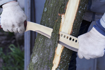 man removes the bark