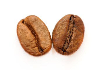 Two coffee beans on a white background. Macro shot.