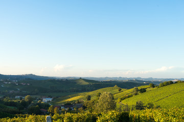 beautiful vineyard in switzerland in blue sky