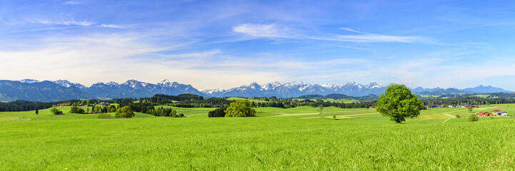 Fototapeta na wymiar typische Landschaft im Ostallgäu