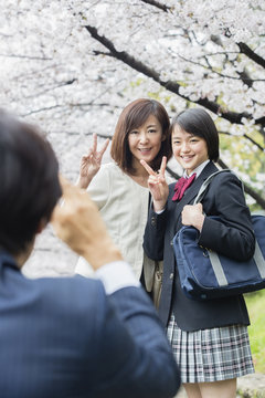 桜の下で写真を撮る家族