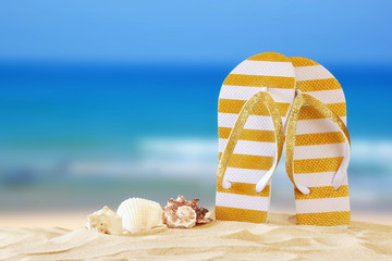 tropical sandy beach, sea shells and flip flops