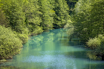 Beautiful nature and green river