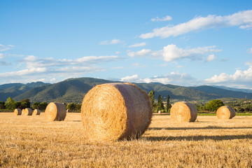 Close up of a straw bale on a field, Spain - obrazy, fototapety, plakaty