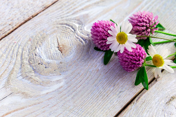 Obraz na płótnie Canvas pink clover and daisies on a wooden background