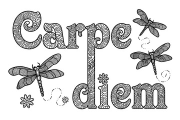 Carpe diem. Ausmalbild für Erwachsene.